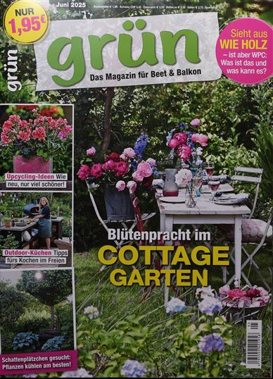 Cover von Grün