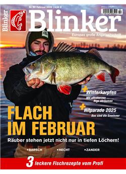 Blinker E-Paper Cover