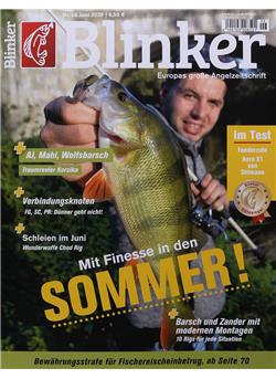 Blinker Cover