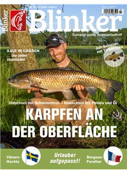 Blinker Cover