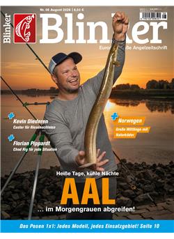 Blinker Cover