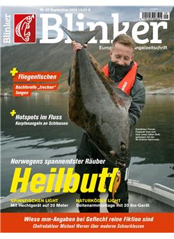 Blinker Cover