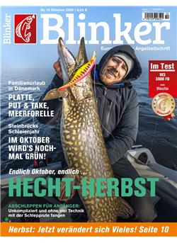 Blinker Cover