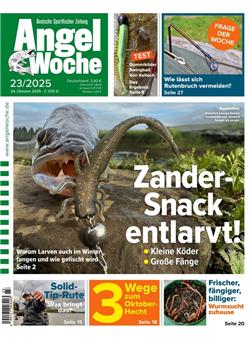 Angelwoche Cover