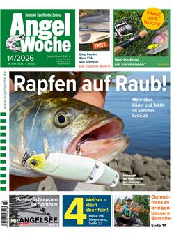 Angelwoche Cover