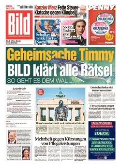 BILD Cover
