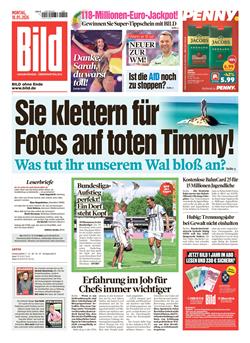 BILD Cover
