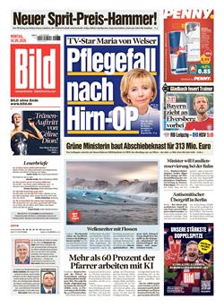 BILD Cover