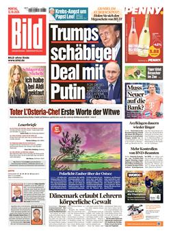 BILD Cover