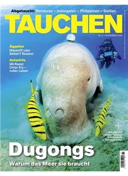 Tauchen Cover