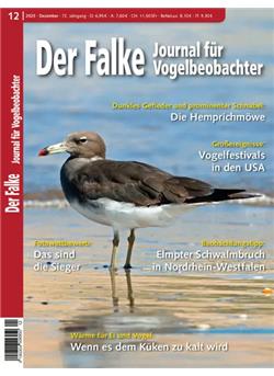 Falke Cover