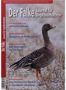 Falke Cover