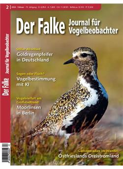 Falke Cover