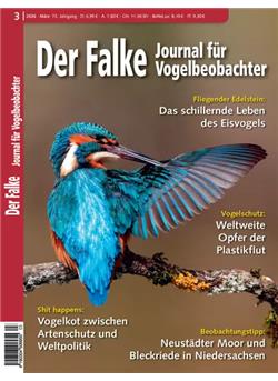 Falke Cover