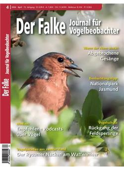 Falke Cover