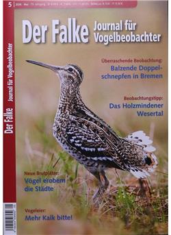 Falke Cover