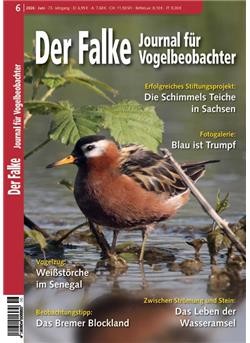 Falke Cover