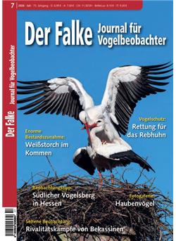 Falke Cover