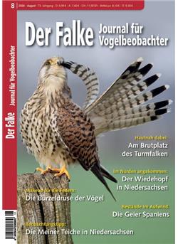 Falke Cover