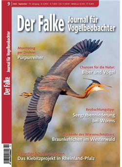 Falke Cover