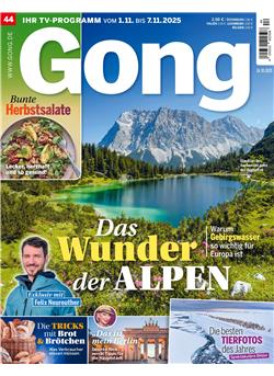 Gong E-Paper Cover