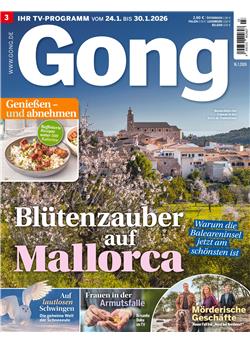 Gong E-Paper Cover