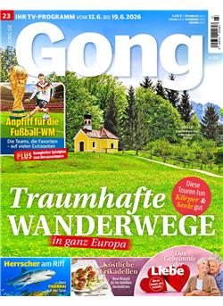 Gong Cover