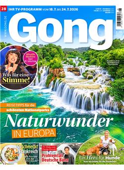 Gong E-Paper Cover