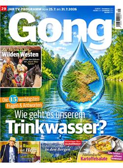 Gong Cover