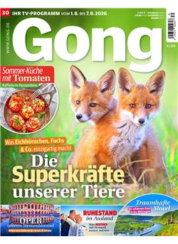 Gong Cover