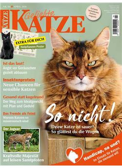 Geliebte Katze Cover