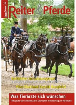 Reiter & Pferde in Westfalen Cover