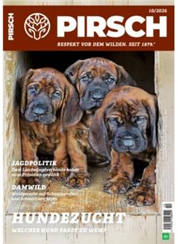 Pirsch Cover