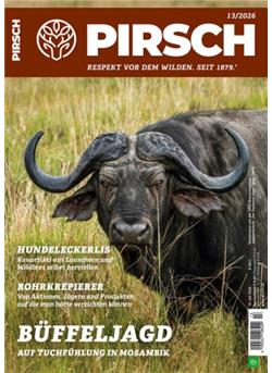 Pirsch Cover