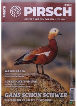 Pirsch Cover