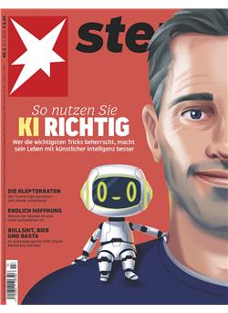 stern E-Paper Cover