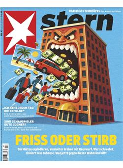stern E-Paper Cover