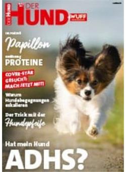 Der Hund Cover