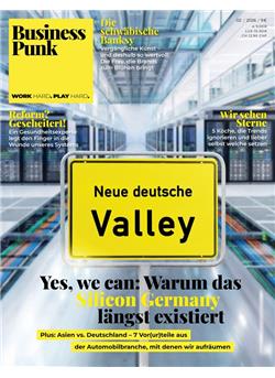 Business Punk Cover