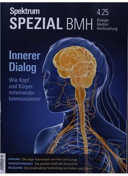Spektrum Spezial Biologie Medizin Hirnforschung Cover