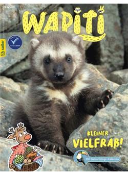 Wapiti Cover