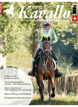 Kavallo Cover