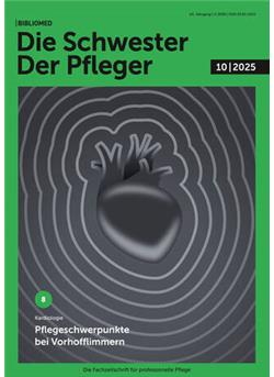 Die Schwester Der Pfleger E-Paper Cover