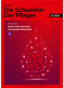 Die Schwester Der Pfleger Cover