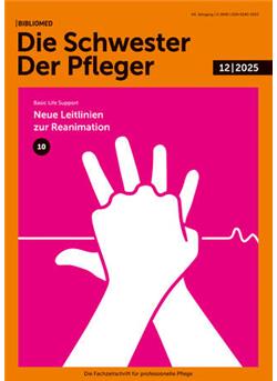 Die Schwester Der Pfleger Cover