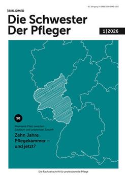 Die Schwester Der Pfleger Cover