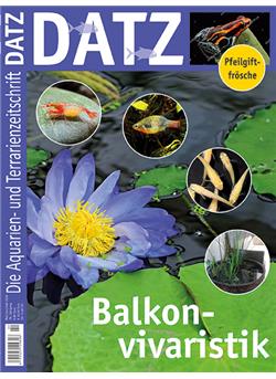 Datz Cover