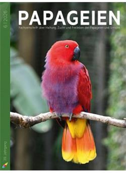 PAPAGEIEN Cover