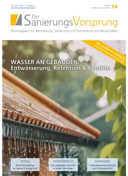 SanierungsVorsprung Cover
