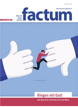 Factum Cover